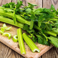 Universal Product Style