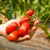 Universal Product Style