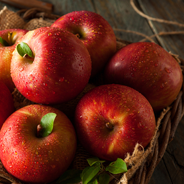 Universal Product Style